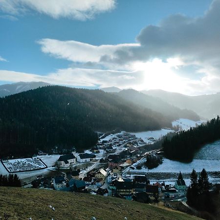 Pension Schweiger Gasen Экстерьер фото