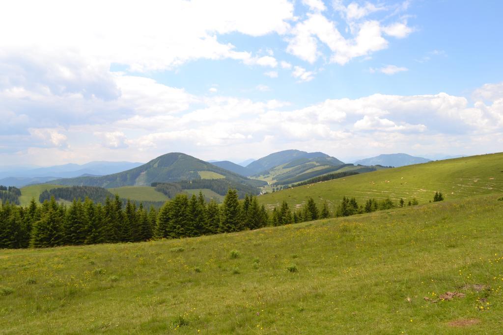 Pension Schweiger Gasen Экстерьер фото