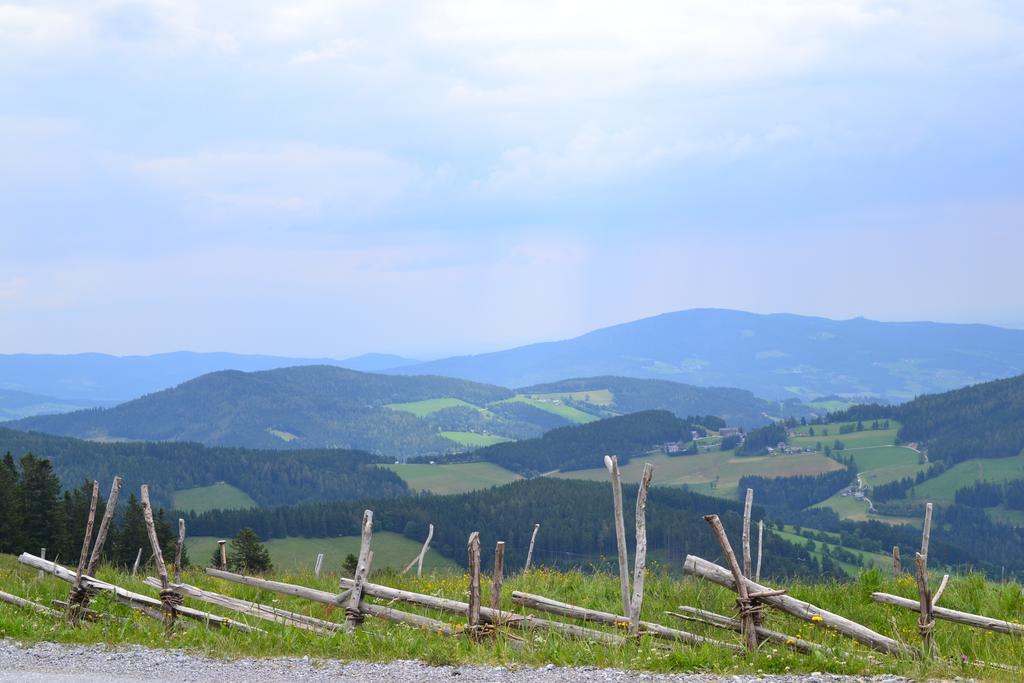 Pension Schweiger Gasen Экстерьер фото