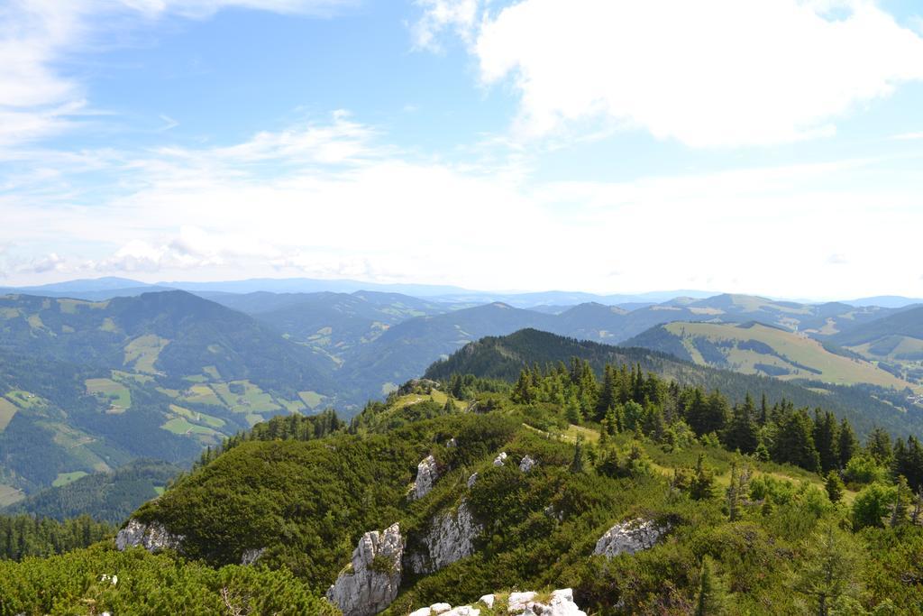 Pension Schweiger Gasen Экстерьер фото