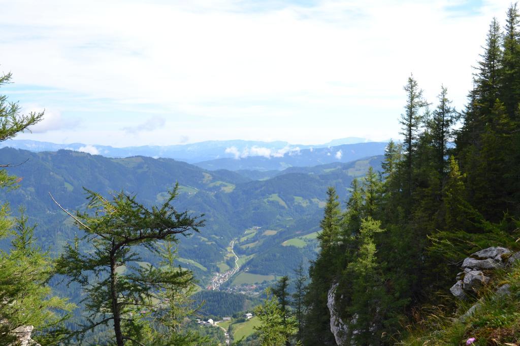 Pension Schweiger Gasen Экстерьер фото